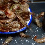 Camarones frescos 