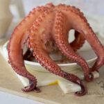 Pulpo cocido 