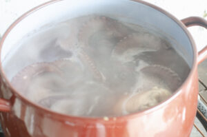 pulpo hirviendo