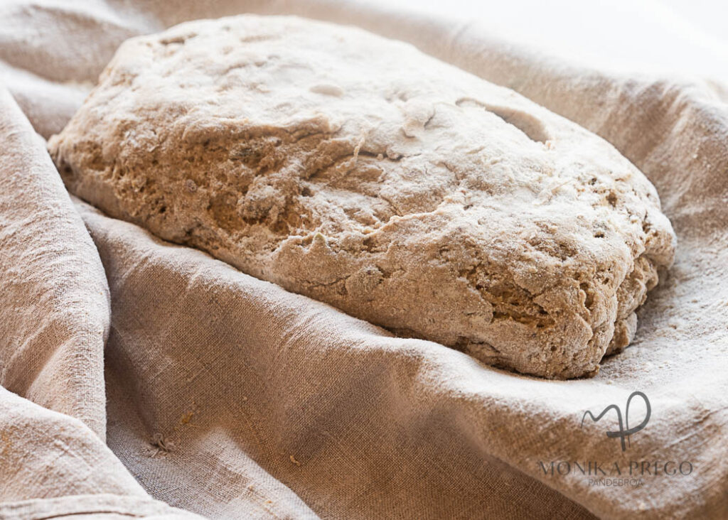 Pan sin gluten levando